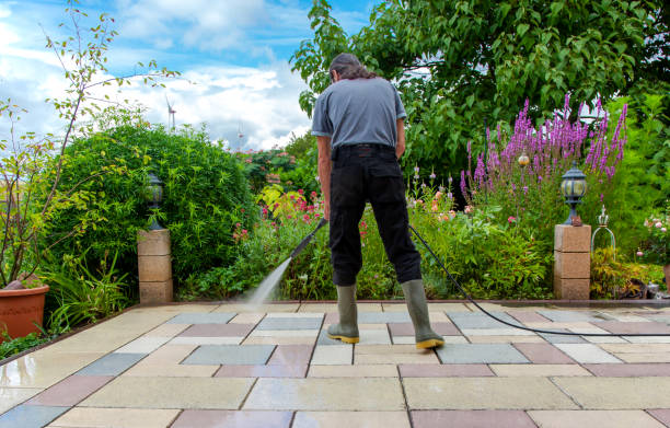 Best Driveway Pressure Washing  in Pasadena, TX